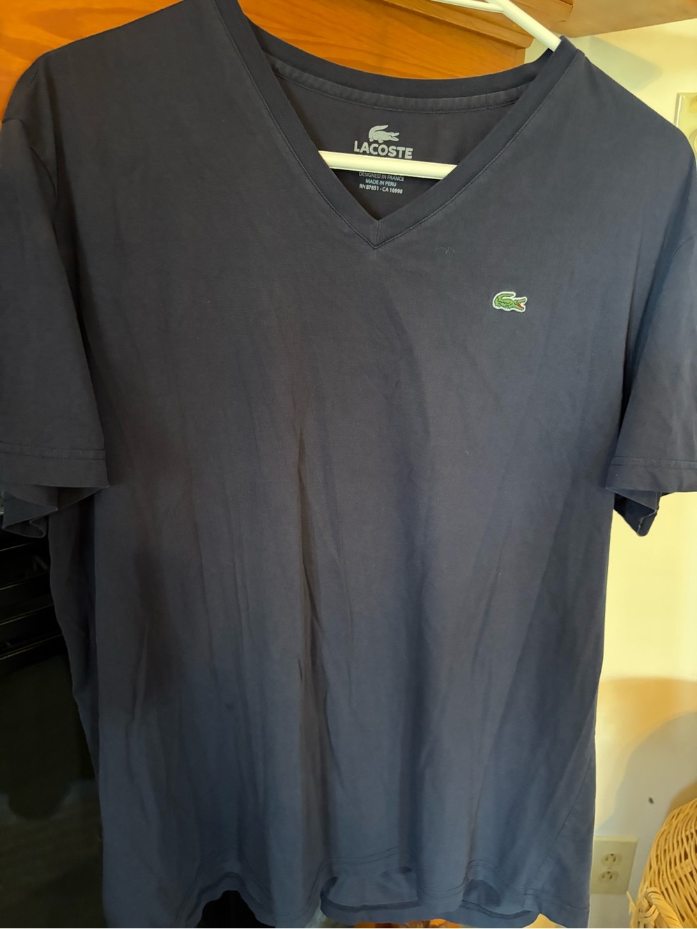 Lacoste Men's V-Neck Polo in Navy with Green Logo